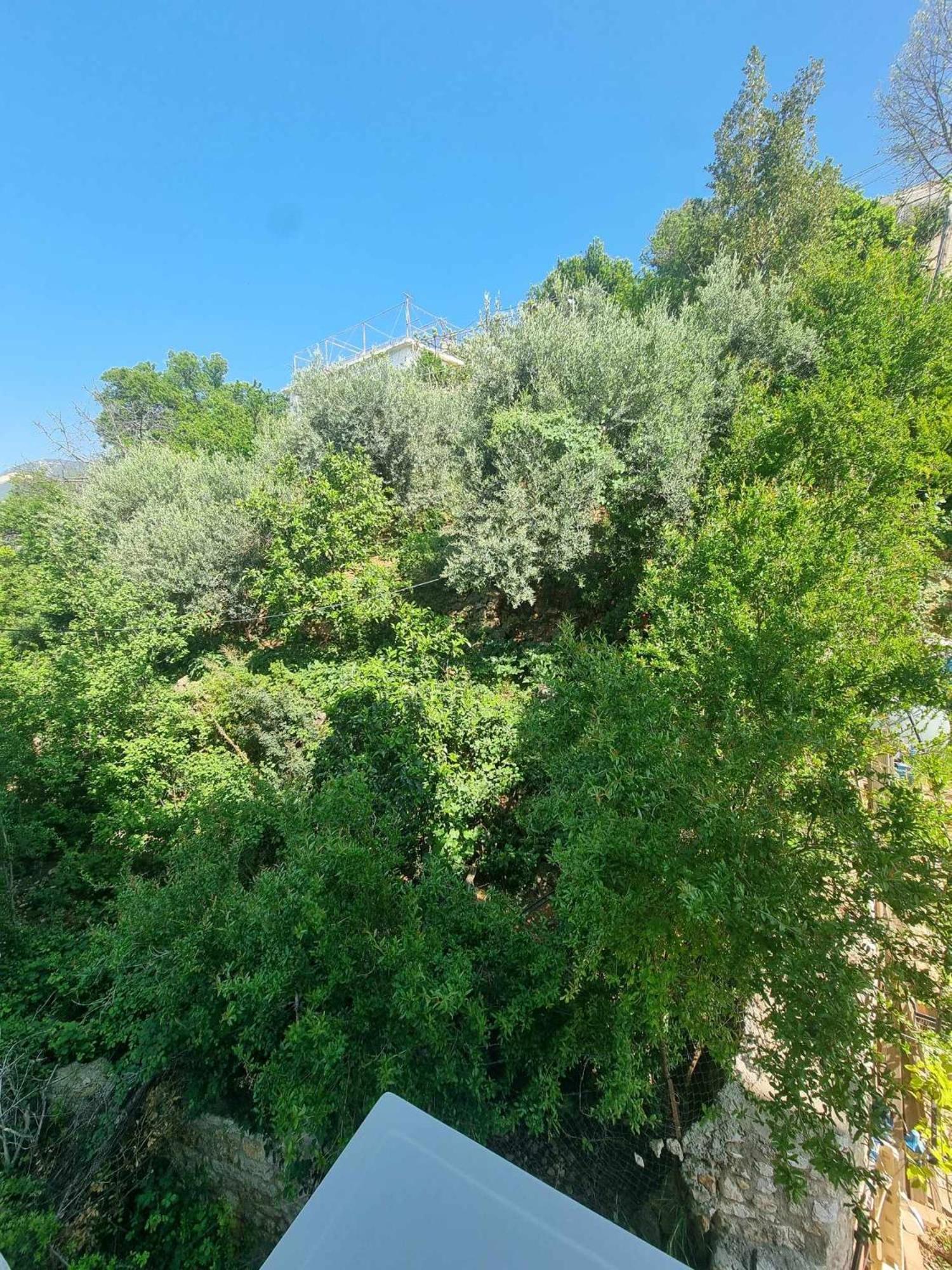 Ble Ble Vlorë